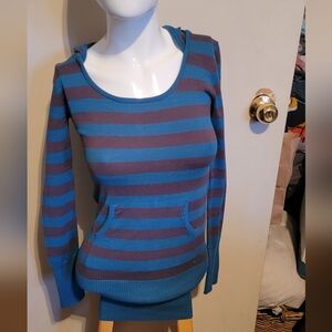 Streetwear Society Blue and Purple Striped Sweater